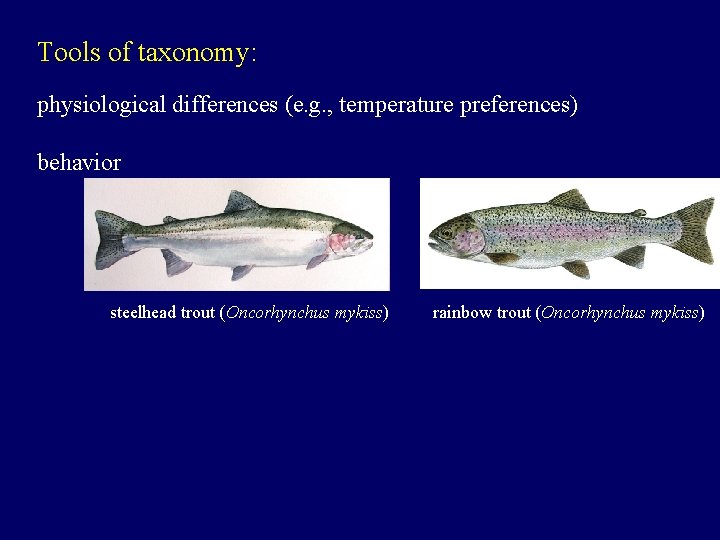 Tools of taxonomy: physiological differences (e. g. , temperature preferences) behavior steelhead trout (Oncorhynchus