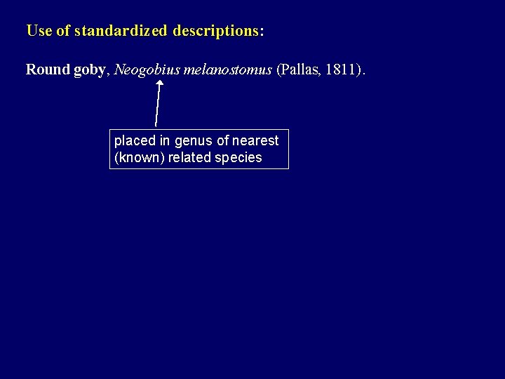 Use of standardized descriptions: Round goby, Neogobius melanostomus (Pallas, 1811). placed in genus of