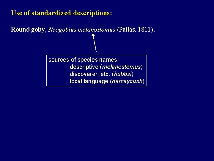 Use of standardized descriptions: Round goby, Neogobius melanostomus (Pallas, 1811). sources of species names: