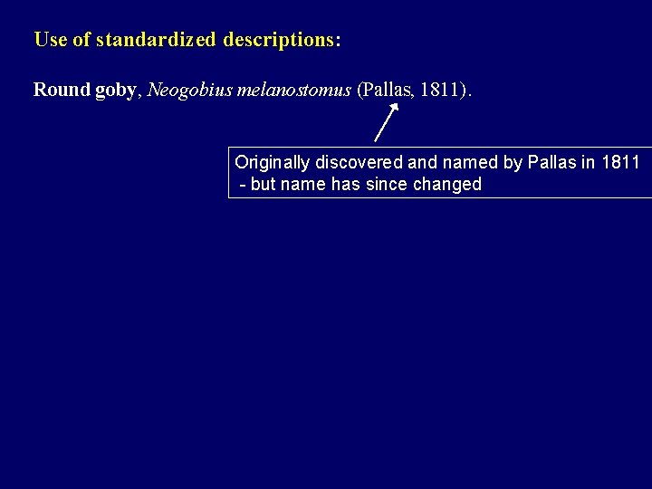 Use of standardized descriptions: Round goby, Neogobius melanostomus (Pallas, 1811). Originally discovered and named