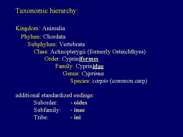 Taxonomic hierarchy: Kingdom: Animalia Phylum: Chordata Subphylum: Vertebrata Class: Actinopterygii (formerly Osteichthyes) Order: Cypriniformes