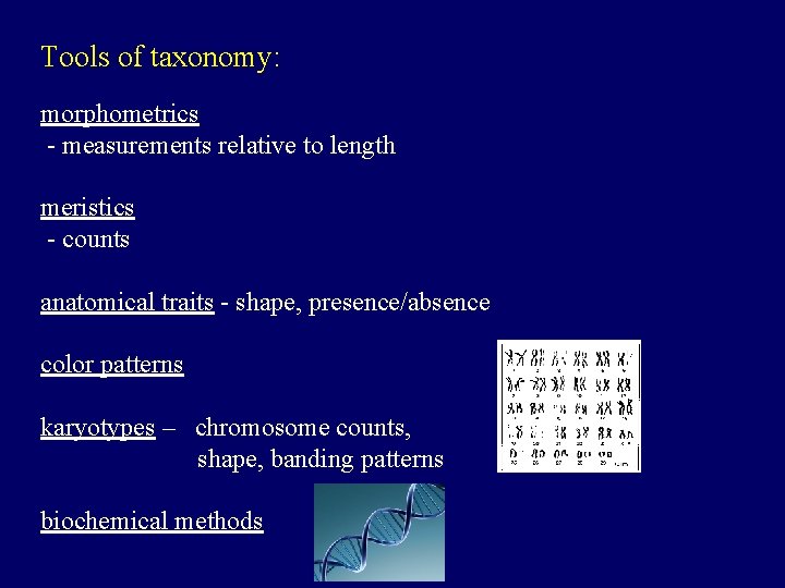 Tools of taxonomy: morphometrics - measurements relative to length meristics - counts anatomical traits
