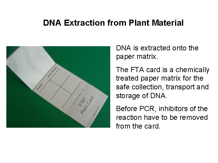 DNA Extraction from Plant Material DNA is extracted onto the paper matrix. The FTA