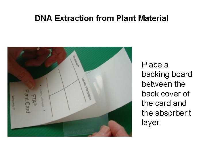 DNA Extraction from Plant Material Place a backing board between the back cover of