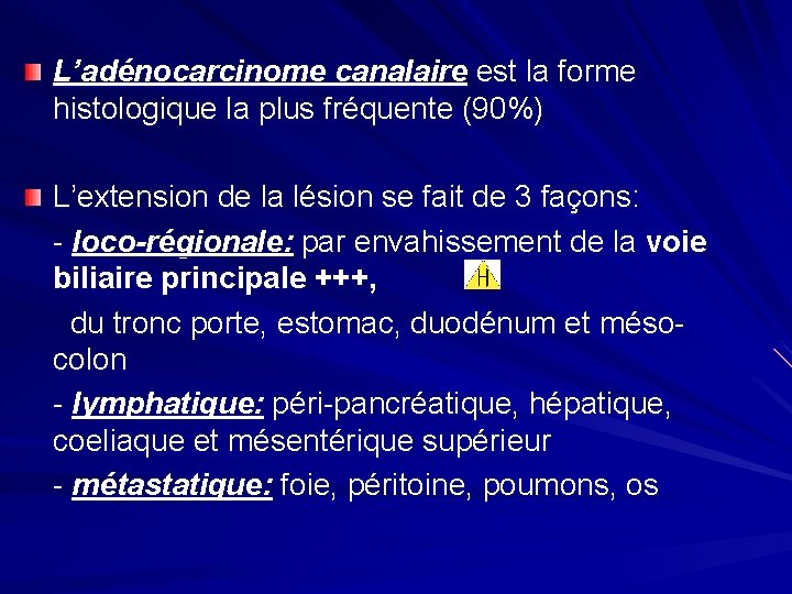 L’adénocarcinome canalaire est la forme histologique la plus fréquente (90%) L’extension de la lésion