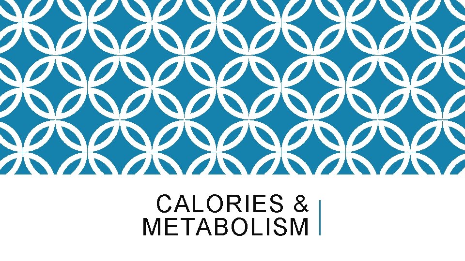 CALORIES & METABOLISM 