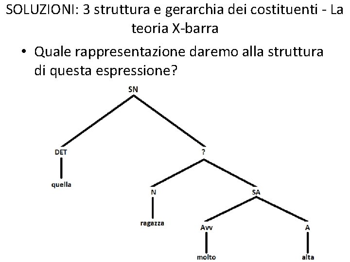 SOLUZIONI: 3 struttura e gerarchia dei costituenti - La teoria X-barra • Quale rappresentazione