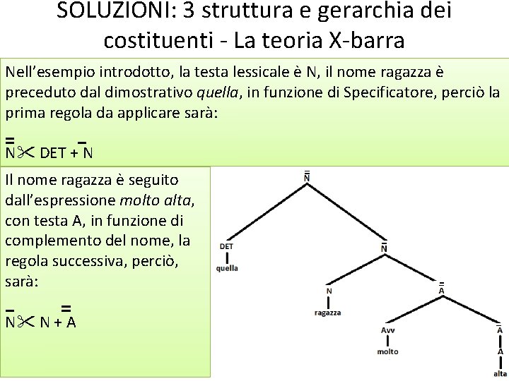 SOLUZIONI: 3 struttura e gerarchia dei costituenti - La teoria X-barra Nell’esempio introdotto, la