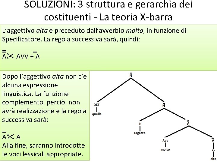 SOLUZIONI: 3 struttura e gerarchia dei costituenti - La teoria X-barra L’aggettivo alta è