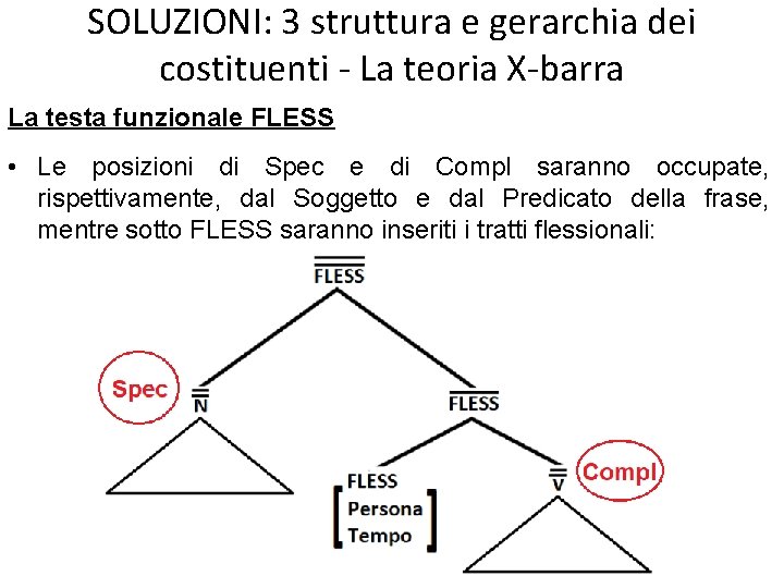 SOLUZIONI: 3 struttura e gerarchia dei costituenti - La teoria X-barra La testa funzionale