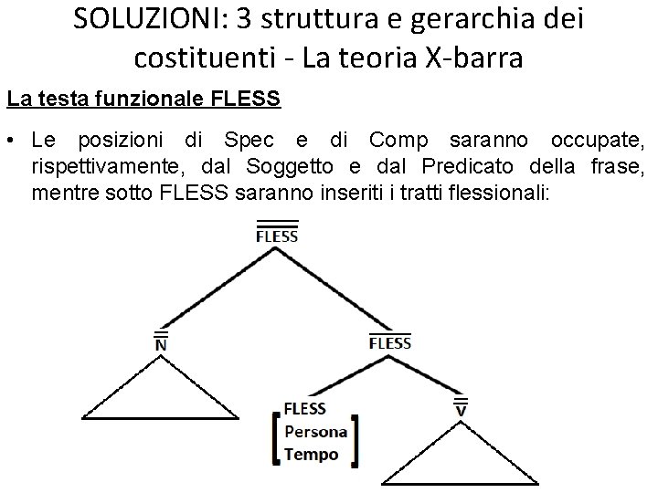 SOLUZIONI: 3 struttura e gerarchia dei costituenti - La teoria X-barra La testa funzionale