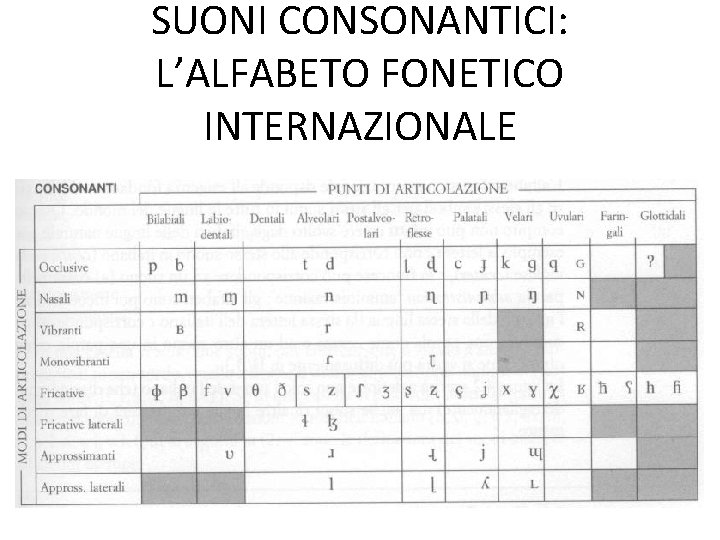 SUONI CONSONANTICI: L’ALFABETO FONETICO INTERNAZIONALE 