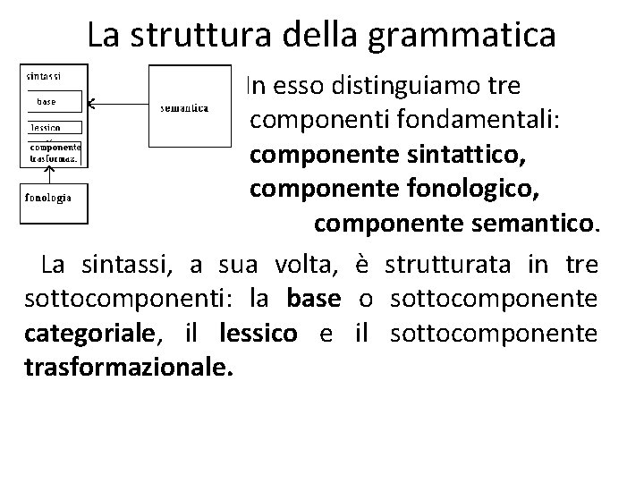 La struttura della grammatica In esso distinguiamo tre componenti fondamentali: componente sintattico, componente fonologico,