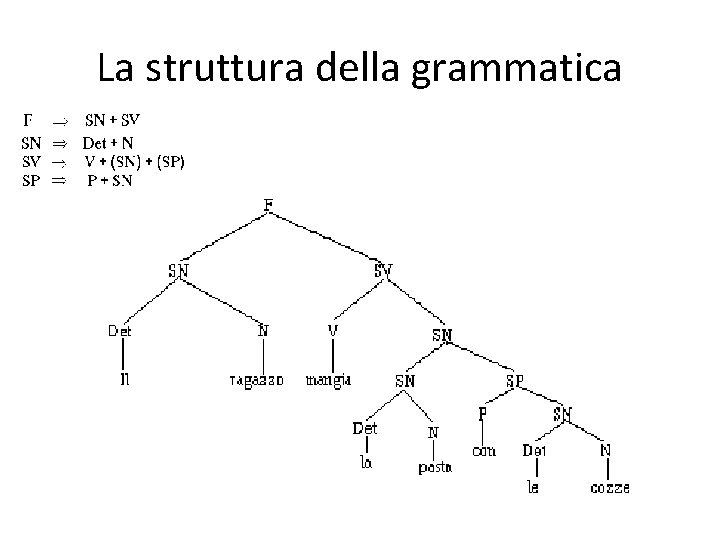 La struttura della grammatica 