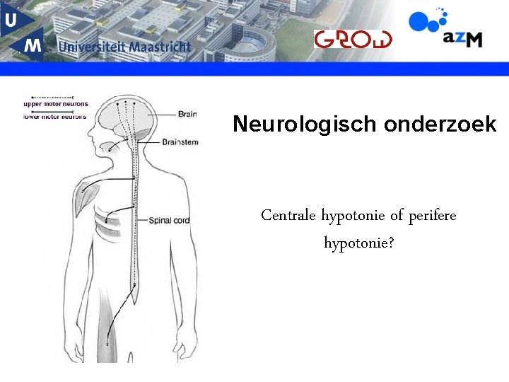 Neurologisch onderzoek Centrale hypotonie of perifere hypotonie? 
