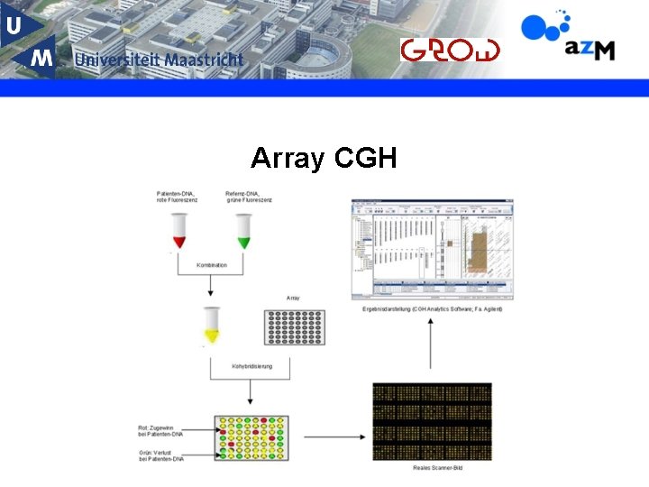 Array CGH 