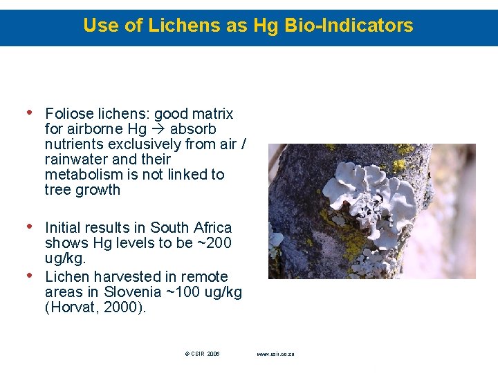 Use of Lichens as Hg Bio-Indicators • Foliose lichens: good matrix for airborne Hg