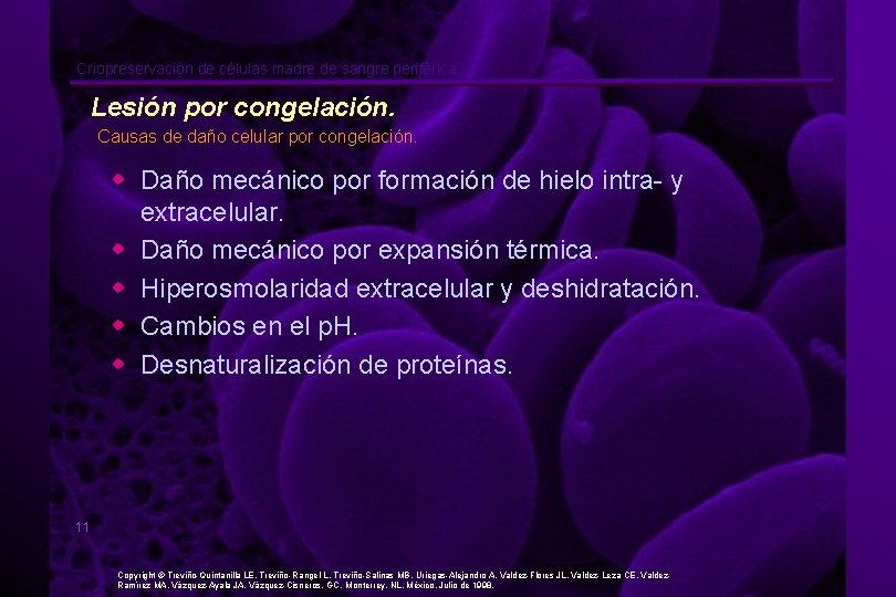 Criopreservación de células madre de sangre periférica. Lesión por congelación. Causas de daño celular