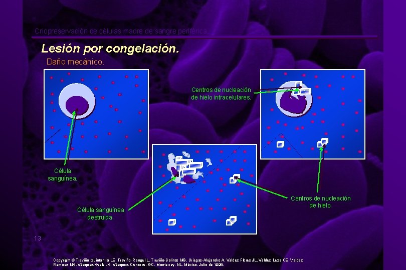 Criopreservación de células madre de sangre periférica. Lesión por congelación. Daño mecánico. Centros de