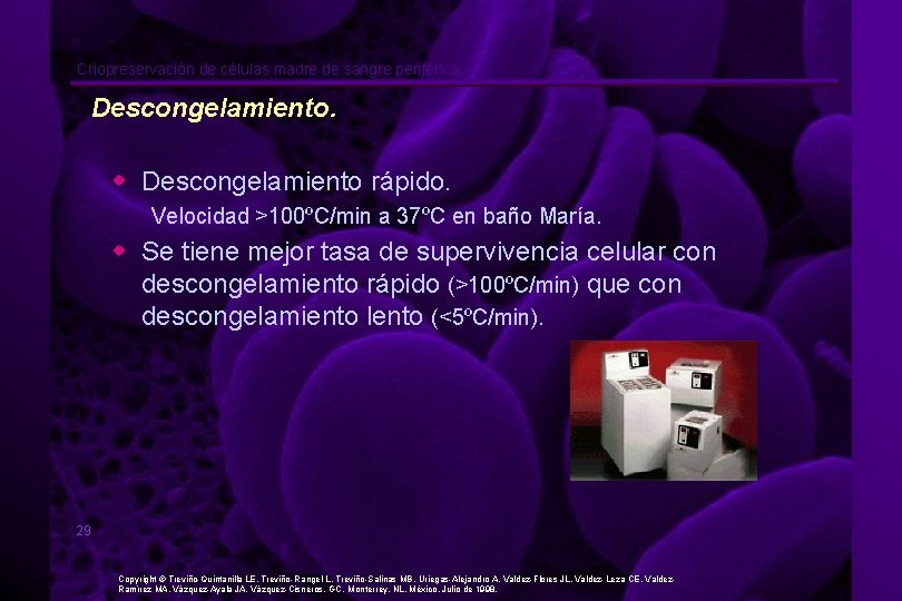 Criopreservación de células madre de sangre periférica. Descongelamiento. w Descongelamiento rápido. Velocidad >100ºC/min a