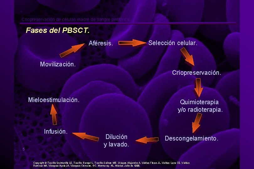 Criopreservación de células madre de sangre periférica. Fases del PBSCT. Aféresis. Selección celular. Movilización.