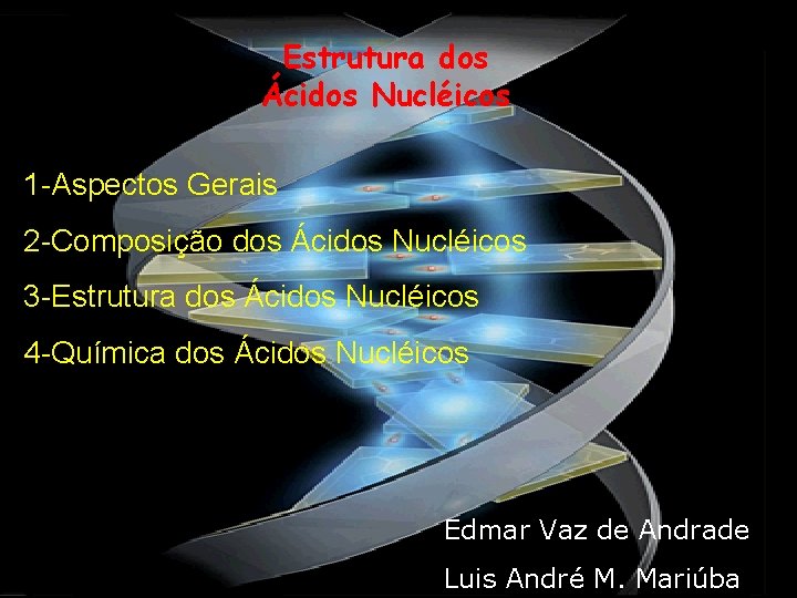 Estrutura dos Ácidos Nucléicos 1 -Aspectos Gerais 2 -Composição dos Ácidos Nucléicos 3 -Estrutura