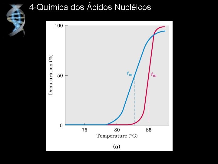 4 -Química dos Ácidos Nucléicos 