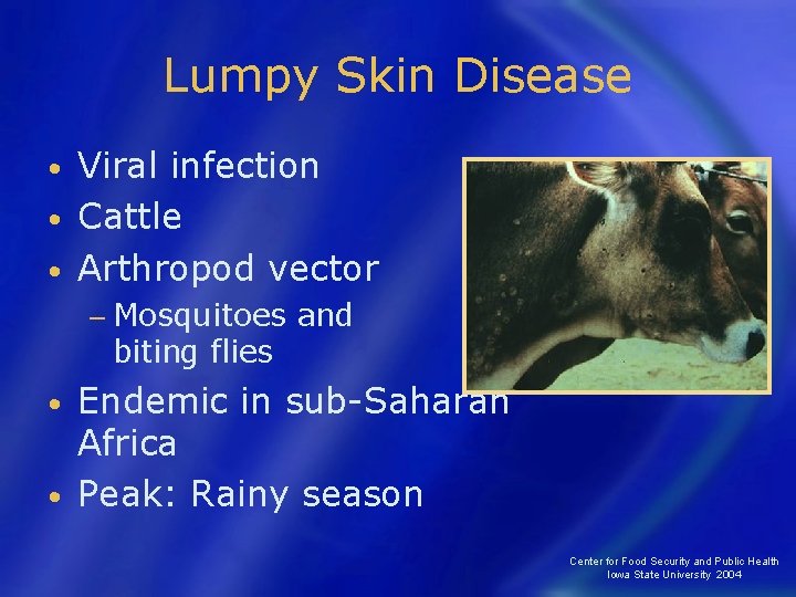 Lumpy Skin Disease Viral infection • Cattle • Arthropod vector • − Mosquitoes biting