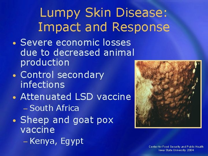 Lumpy Skin Disease: Impact and Response Severe economic losses due to decreased animal production