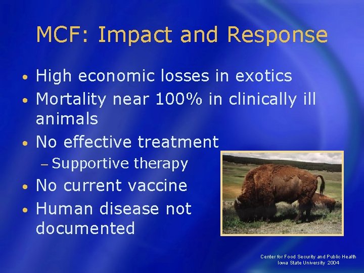 MCF: Impact and Response High economic losses in exotics • Mortality near 100% in