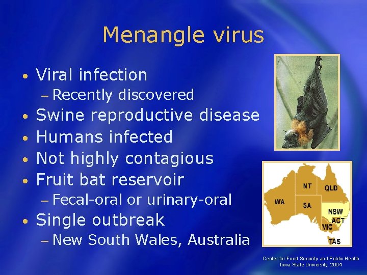 Menangle virus • Viral infection − Recently discovered Swine reproductive disease • Humans infected