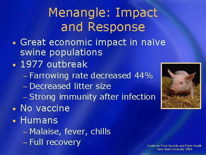 Menangle: Impact and Response Great economic impact in naïve swine populations • 1977 outbreak