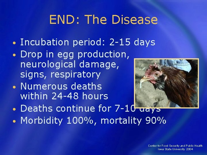 END: The Disease • • • Incubation period: 2 -15 days Drop in egg