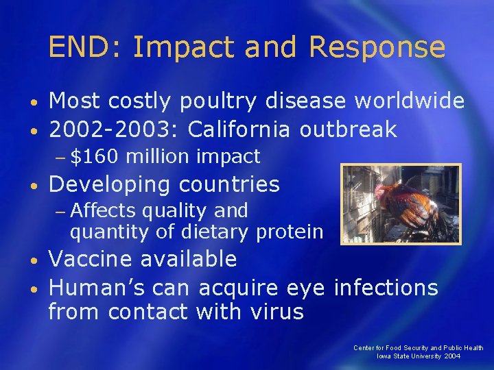 END: Impact and Response Most costly poultry disease worldwide • 2002 -2003: California outbreak