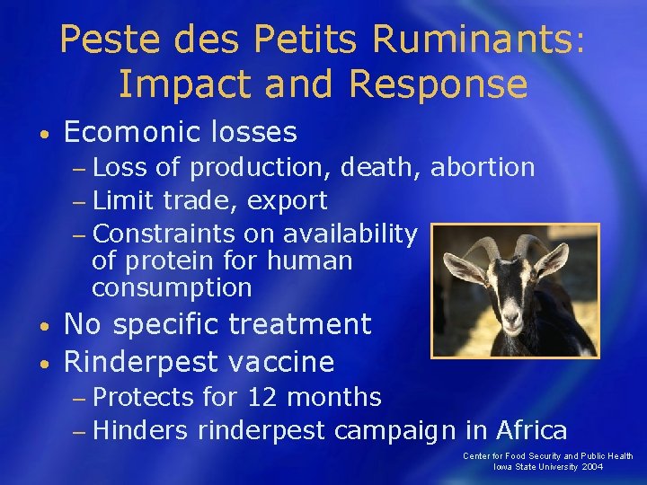 Peste des Petits Ruminants: Impact and Response • Ecomonic losses − Loss of production,