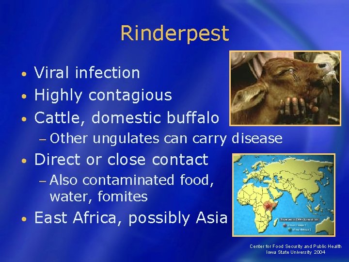 Rinderpest Viral infection • Highly contagious • Cattle, domestic buffalo • − Other •