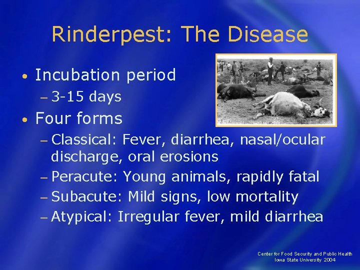 Rinderpest: The Disease • Incubation period − 3 -15 • days Four forms −