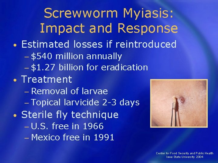 Screwworm Myiasis: Impact and Response • Estimated losses if reintroduced − $540 million annually