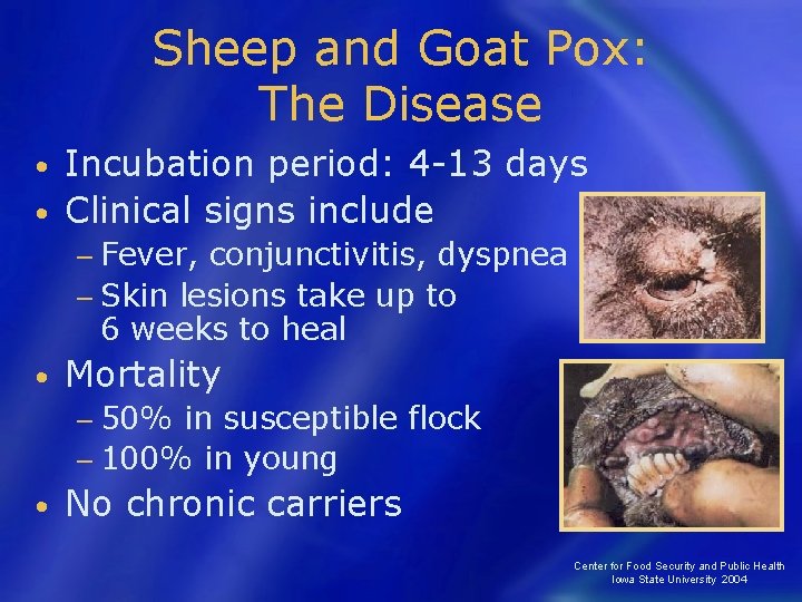 Sheep and Goat Pox: The Disease Incubation period: 4 -13 days • Clinical signs