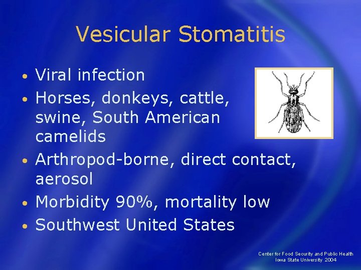 Vesicular Stomatitis • • • Viral infection Horses, donkeys, cattle, swine, South American camelids