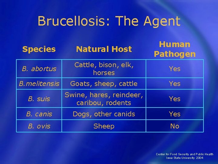 Brucellosis: The Agent Species Natural Host Human Pathogen B. abortus Cattle, bison, elk, horses