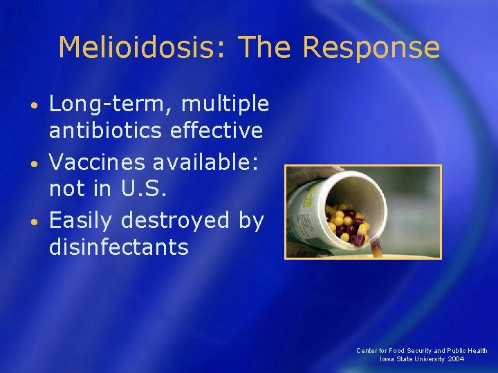 Melioidosis: The Response Long-term, multiple antibiotics effective • Vaccines available: not in U. S.