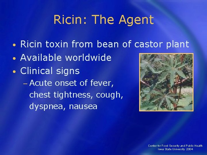 Ricin: The Agent Ricin toxin from bean of castor plant • Available worldwide •