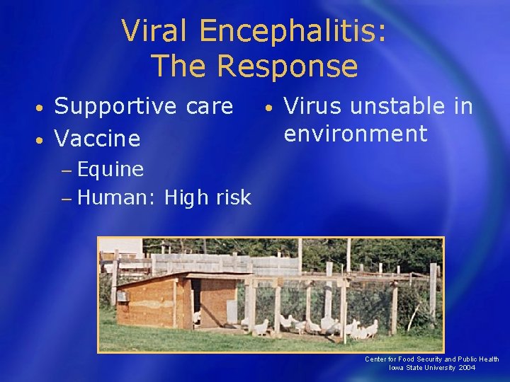 Viral Encephalitis: The Response Supportive care • Vaccine • • Virus unstable in environment