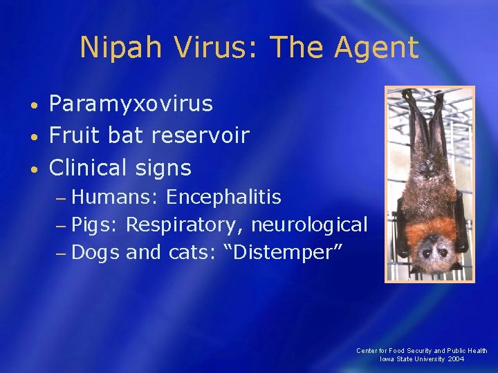 Nipah Virus: The Agent Paramyxovirus • Fruit bat reservoir • Clinical signs • −