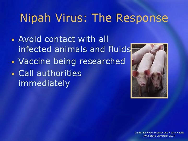 Nipah Virus: The Response Avoid contact with all infected animals and fluids • Vaccine