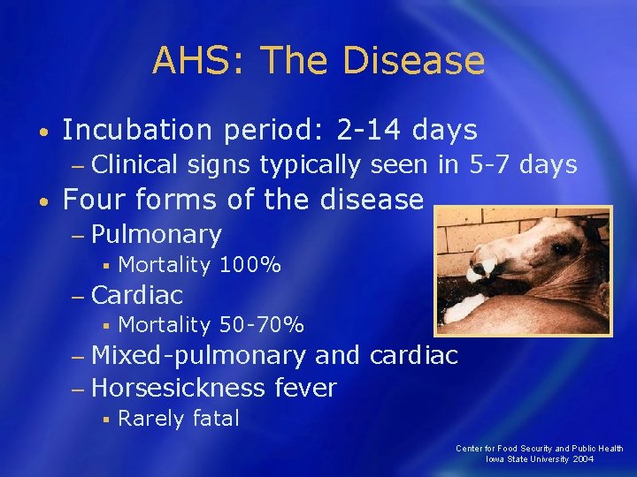 AHS: The Disease • Incubation period: 2 -14 days − Clinical • signs typically