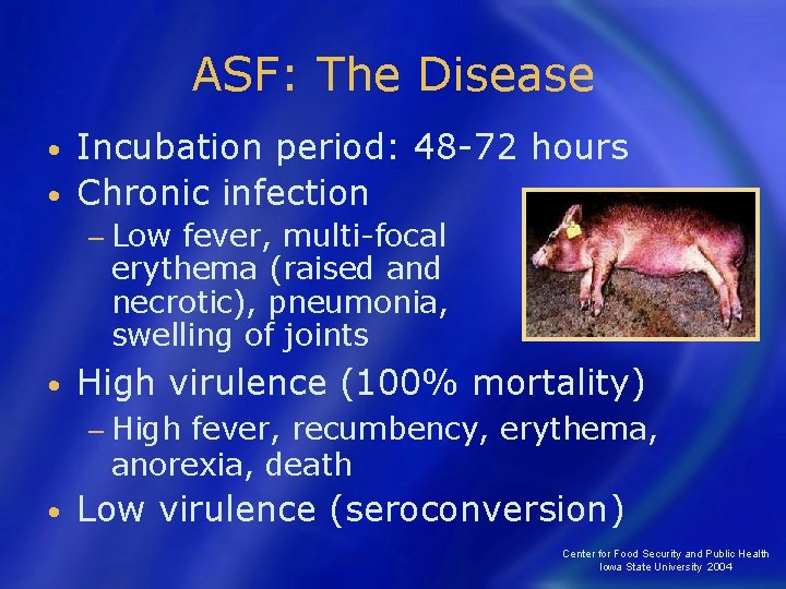 ASF: The Disease Incubation period: 48 -72 hours • Chronic infection • − Low