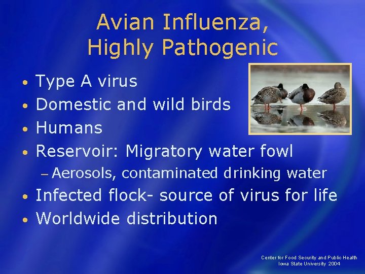 Avian Influenza, Highly Pathogenic Type A virus • Domestic and wild birds • Humans