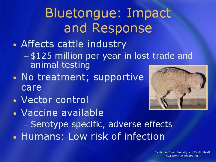 Bluetongue: Impact and Response • Affects cattle industry − $125 million per year in